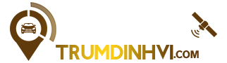 logotrumdinhvi